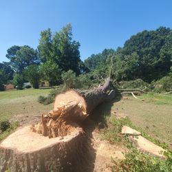 MONZON TREE REMOVER 