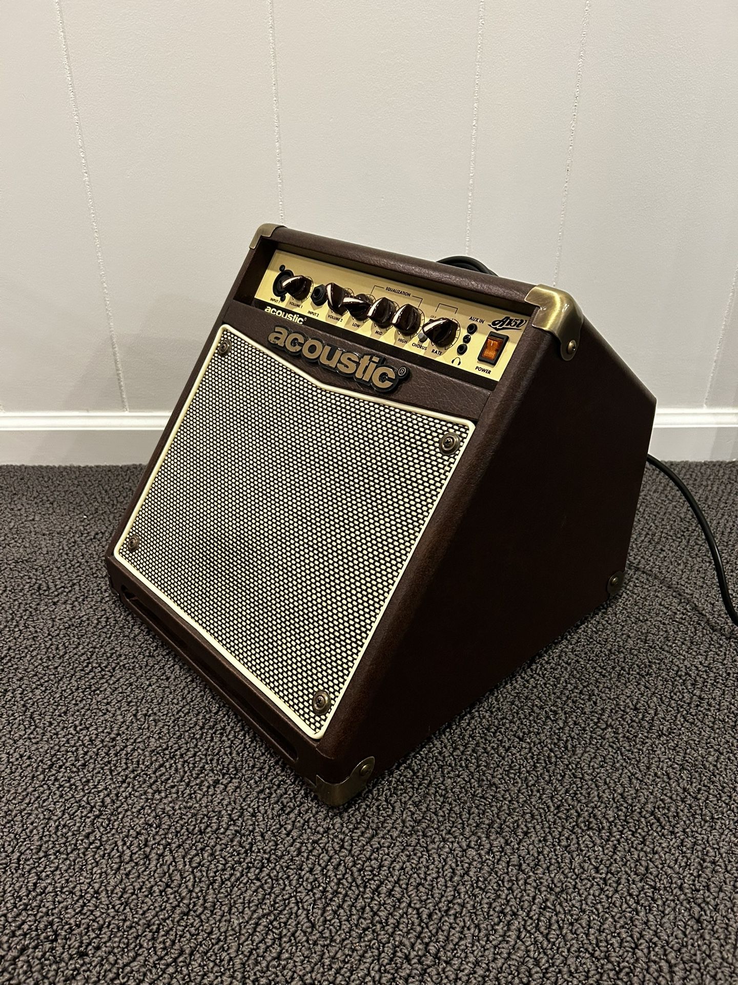 Acoustic Amp W/ 2 Instrument Cables & Mic