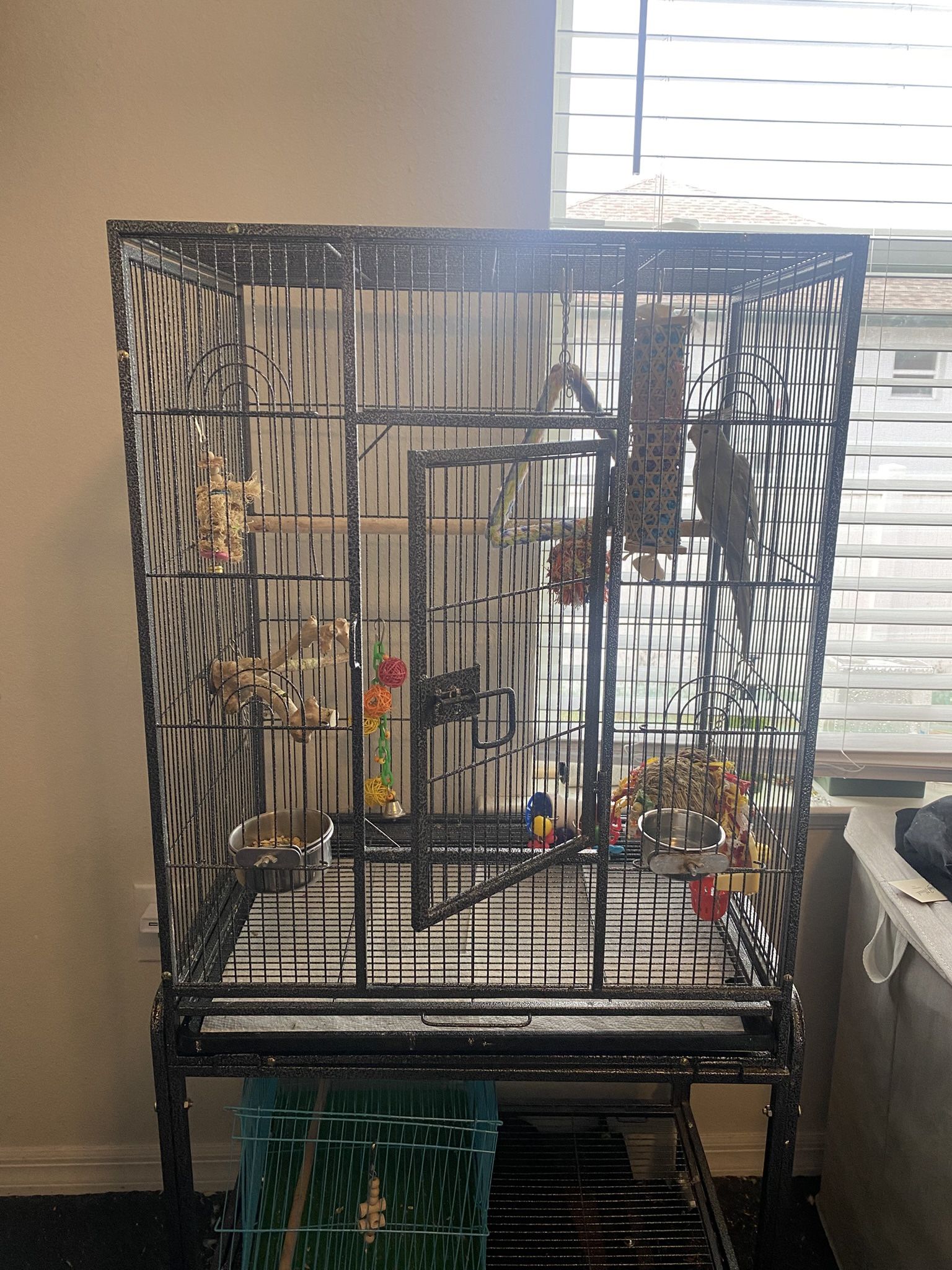 Bird Cage