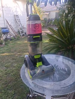 Hoover powermax pet