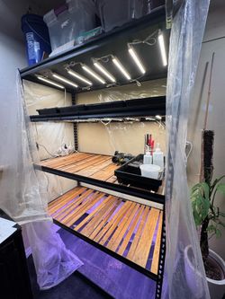 Plant shelf with Barrina T5 plant lights