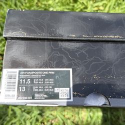 Nike Foamposite Stranger Things