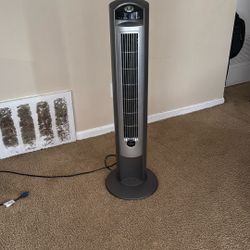 Tall Fan 