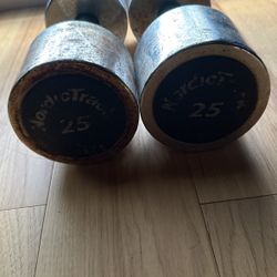 25LB Dumbbells
