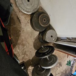 485 Lbs of Plate Weights, EZ Curl, and Dumbbells  - Open To Offers