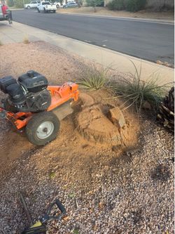 Stumps