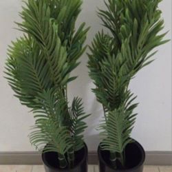 *** NEW LOW PRICE *** PAIR of 4ft Faux Golden Cane Palms in 16in Black Planters @ Lasting Creations