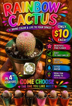 Rainbow cactus  🌵🩷🌈