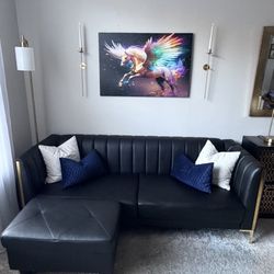 Black And Gold Couch With Storage ottoman