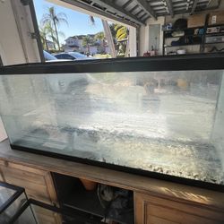 55 Gallon Tanks