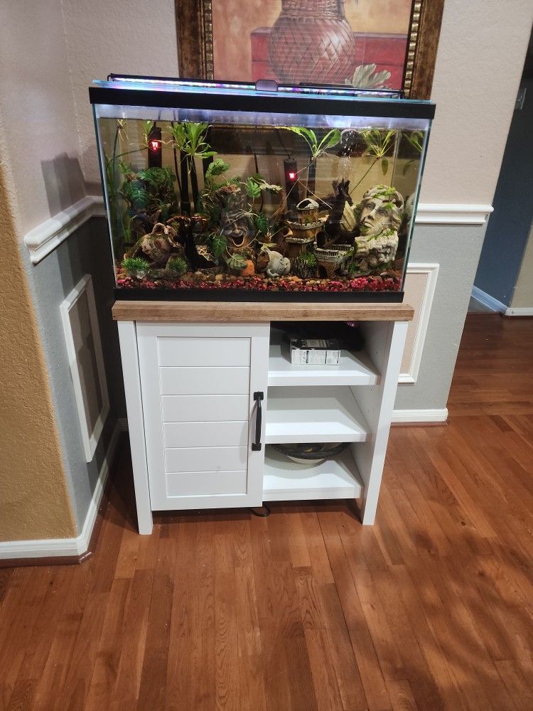Fresh Water Fish Tank