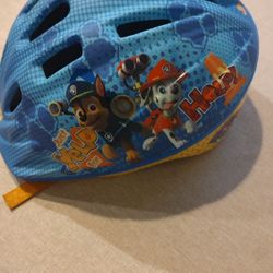 Toddler Paw Patrol Helmet