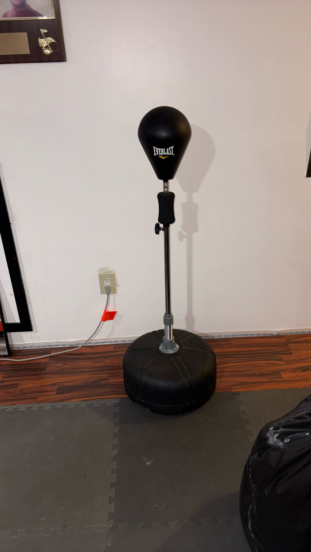 Everlast speed Bag