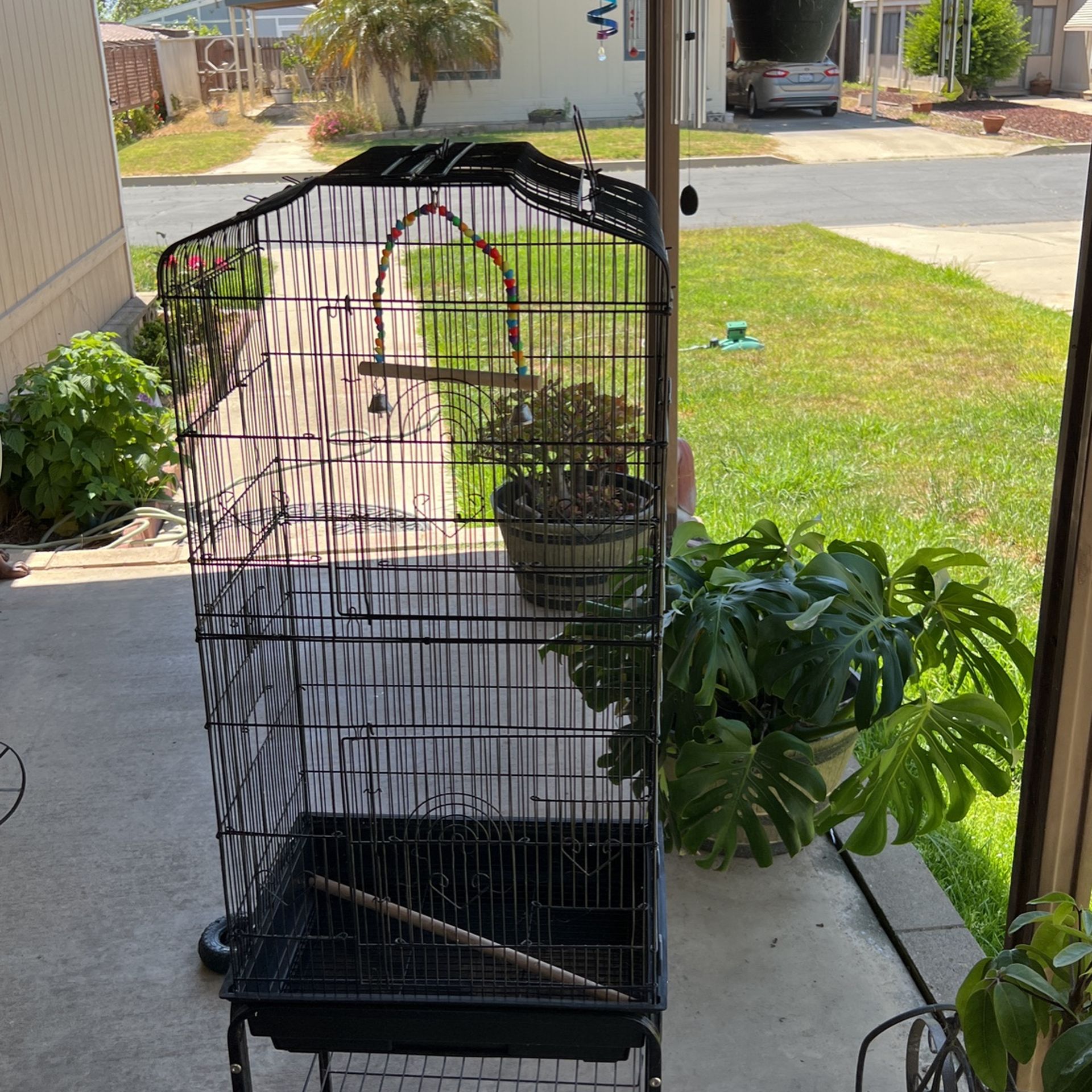 Birdcage