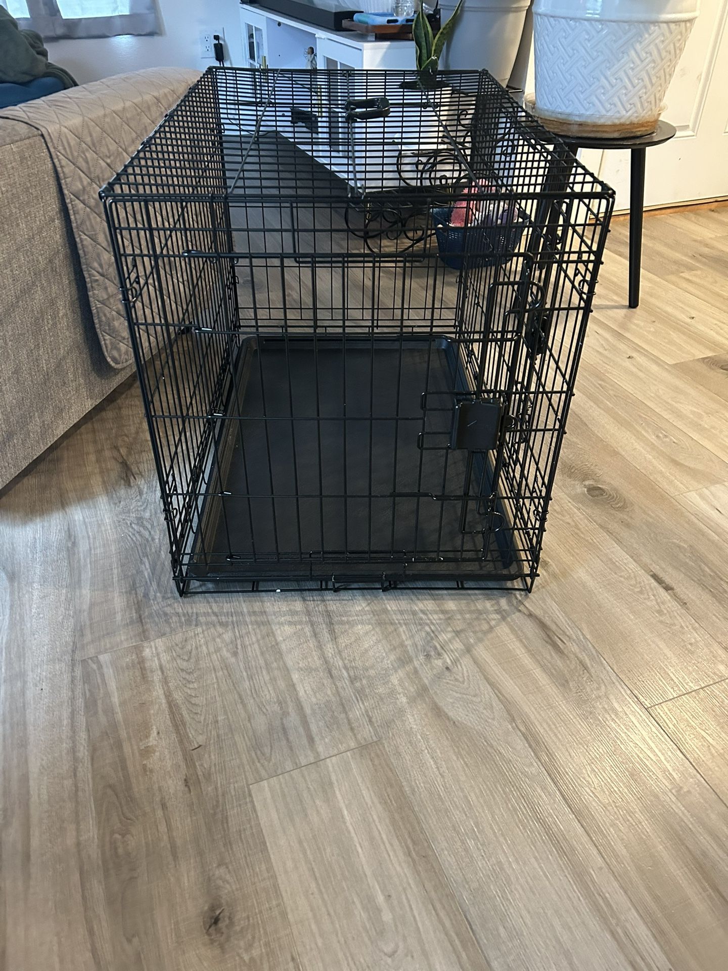 Dog Kennel