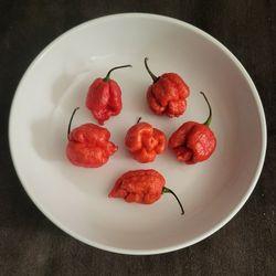 Organic Carolina Reaper Pepper Seeds! 2026 SEASON EARLY RELEASE! Hard to find! Available Now! 
