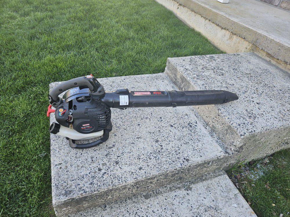 Leaf Blower For Sale Need Some Work As Is No Warranty Cash Only $20.00