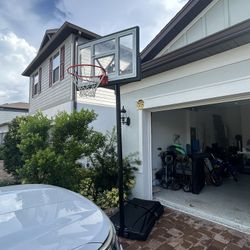 Basketball Hoop