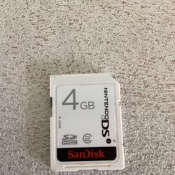 Nintendo DS 4 GB Sandisk Card