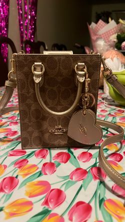 Mini coach bag