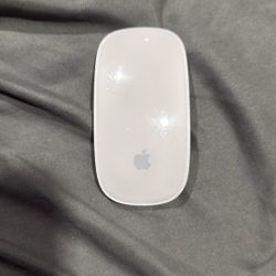 Apple Mouse 