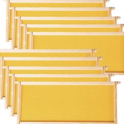 20 pack Honey Bee Frames, 100% Beeswax Coated, Food Grade Foundation Sheets, with Wax Foundation