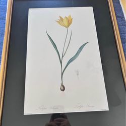 Large Framed Floral Painting