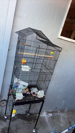 Bird cage