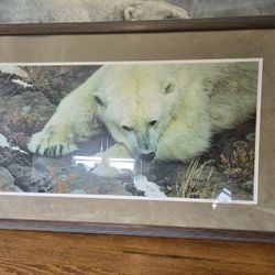 Top  of the World - Polar Bear by Carl Brenders. 