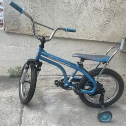 SCHWINN Karate Evo