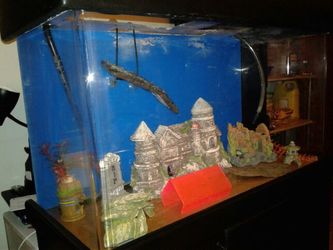 40 gal