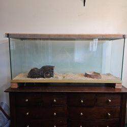 Large Reptile Tank