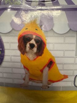Pet duck hoodie outfit size x- small