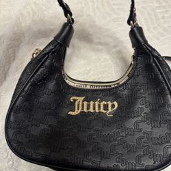 Juicy Hand Bag 