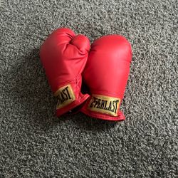 Red Everlast Boxing Gloves / Used 