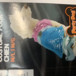 Dogs And Cats Costume 