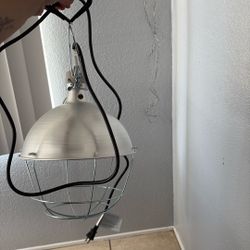 Brand New Heating Lamp