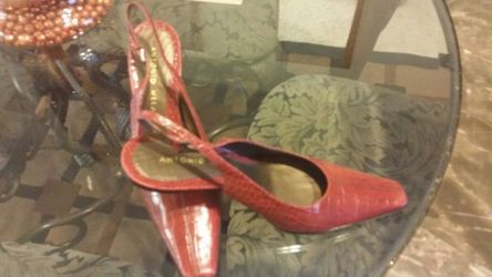 Shoe's Antonio milani size81/2. $20.00