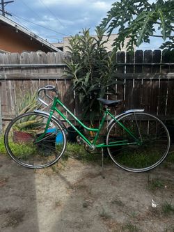 Vintage Schwinn Collegiate Bicycle (Late 1970s) - Campus Green
