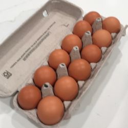 One Dozen Fresh Organic Eggs