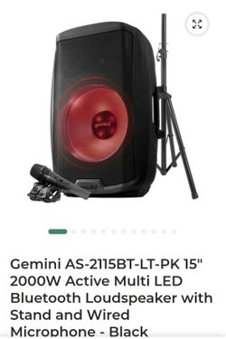 Gemini speaker