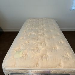 Twin Mattress & Ergonomic Support Box