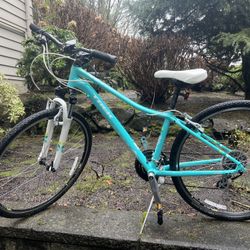 Trek Bicycle For Young Ladies