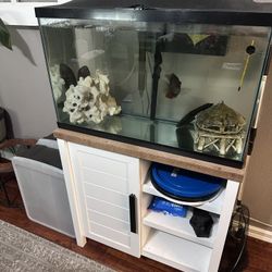 29 Gallon With Nice stand