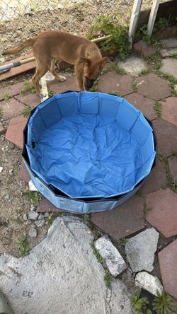 Kiddy pool