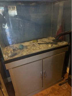 Fish tank