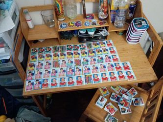 2026 Panini stickers