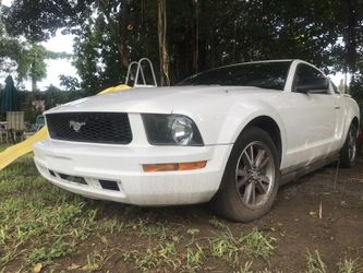 Mustang 2005 runs great