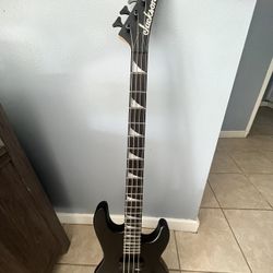 Jackson bass