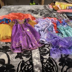 Disney Princess Dresses.